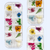 Mini Flores Secas Decorativas MF3